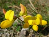 p1000441