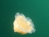 p1000580